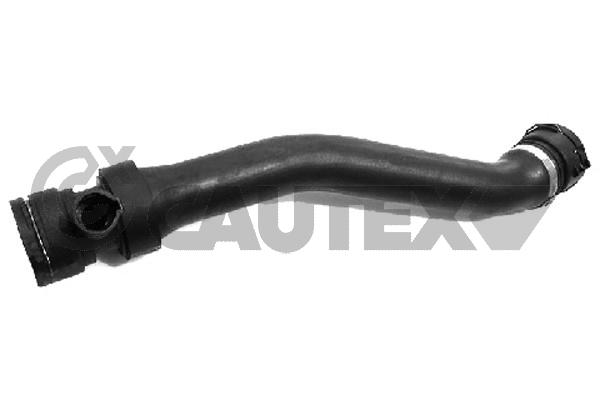 Патрубок системы охлаждения радиатора нижний bmw e46 316 i-316 ti-318 i-318 ti-318 ci CAUTEX 753622