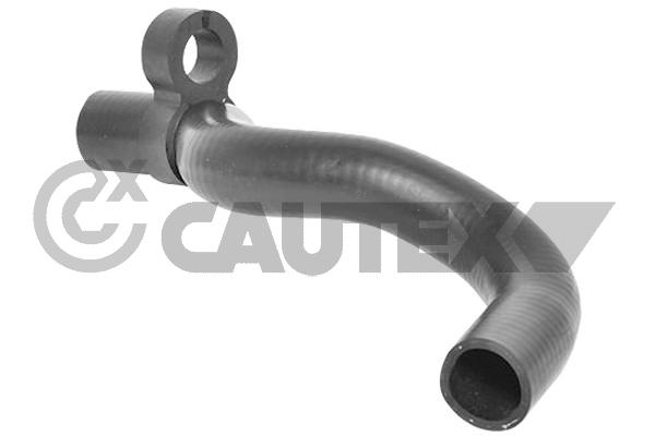 Патрубок радиатора CAUTEX 026560