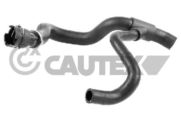 Патрубок радиатора нижн ford mondeo iii дизель 02- CAUTEX 753567