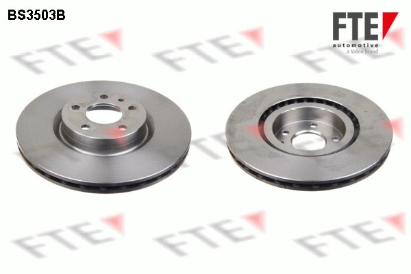 1713838 FTE BS3503B