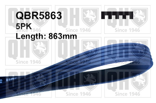 0 QUINTON HAZELL QBR5863