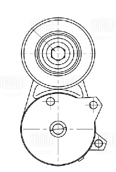 Ролик привод. ремня для а/м nissan qashqai (13-)/x-trail (14-) 2.0i (с натяж. мех.) TRIALLI CM 5754