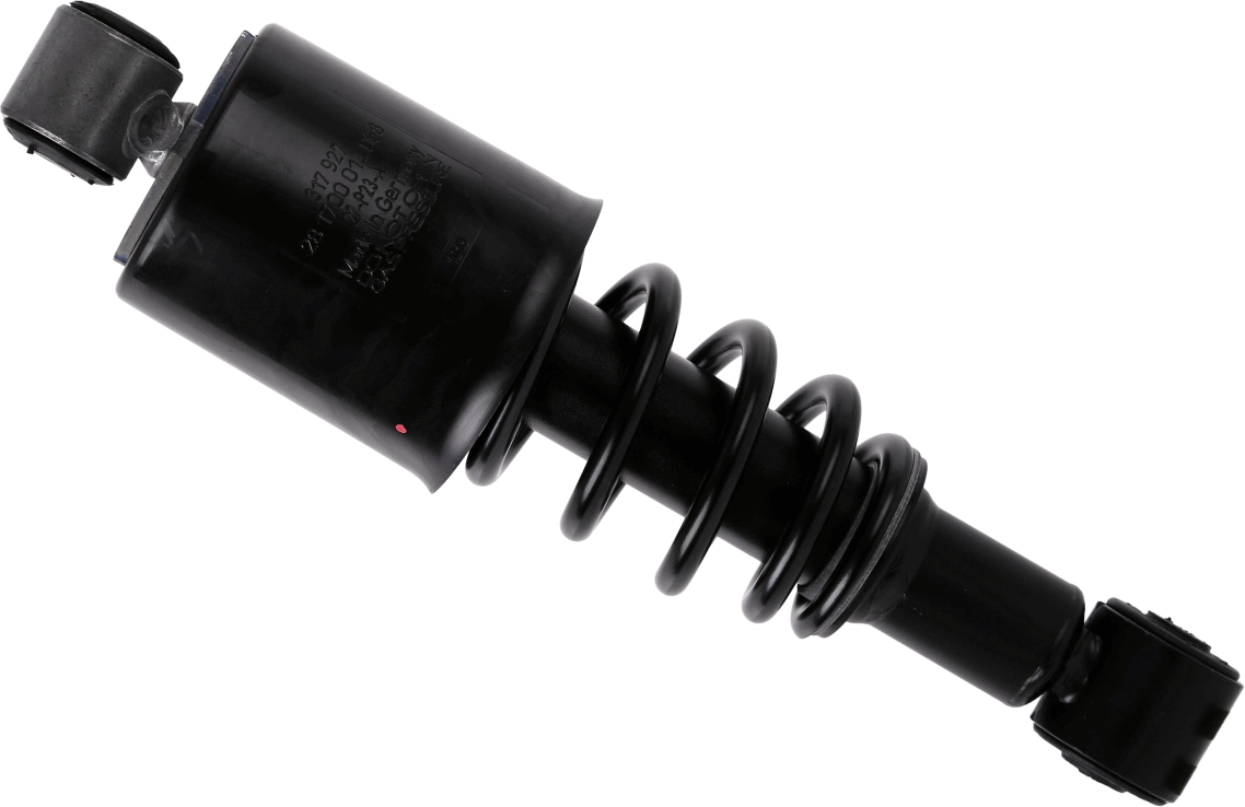  SACHS 317927