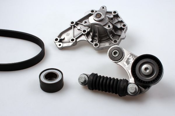 2693446 HEPU PK00542
