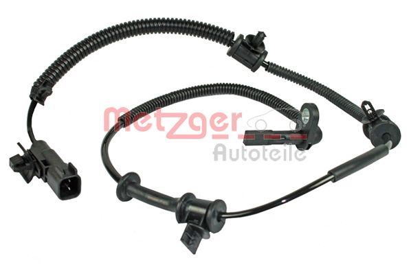  METZGER 0900691