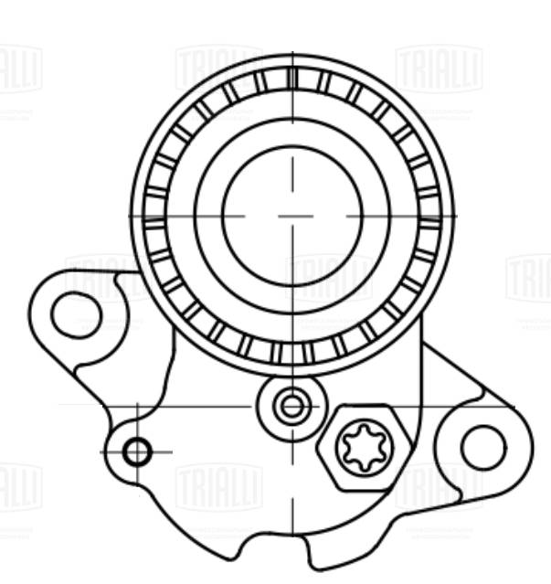 Ролик приводного ремня TRIALLI CM5084