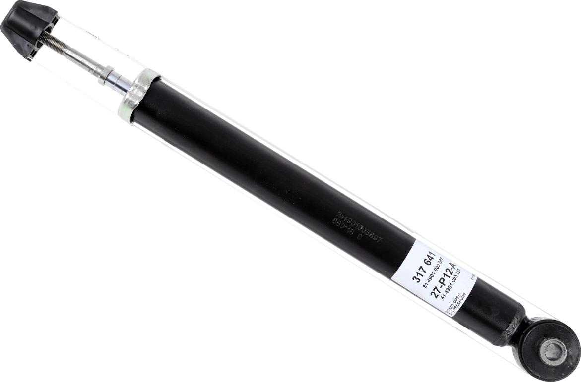  SACHS 317641