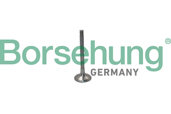 Клапан грм BORSEHUNG B19012