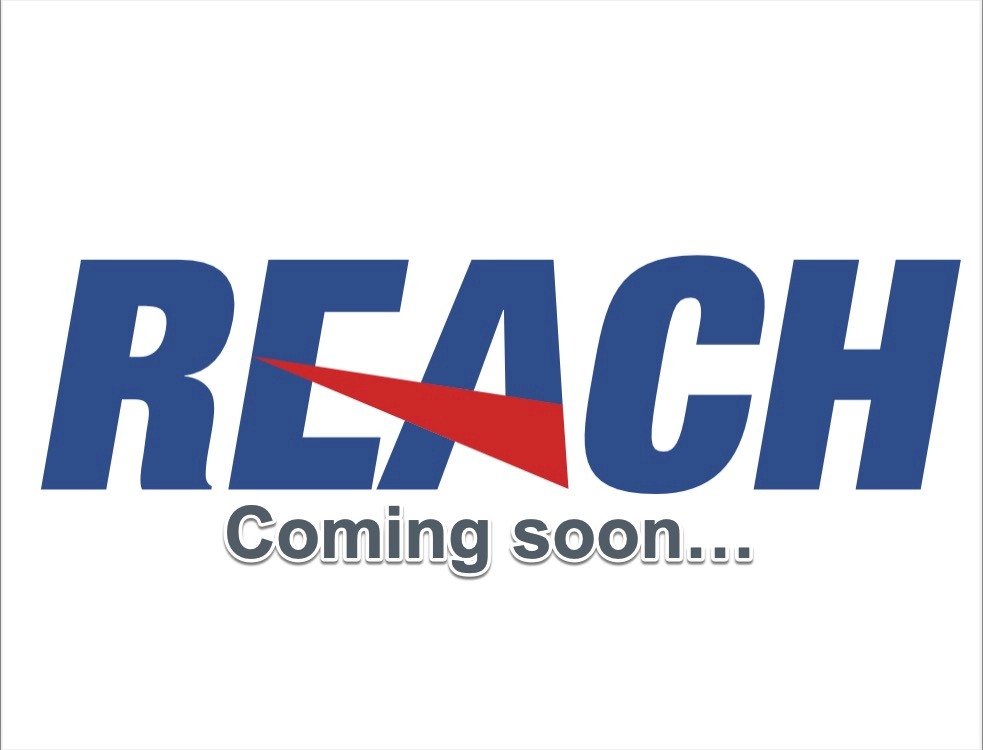 Радиатор масляный REACH 1.24.11031