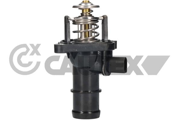 Термостат CAUTEX 955489