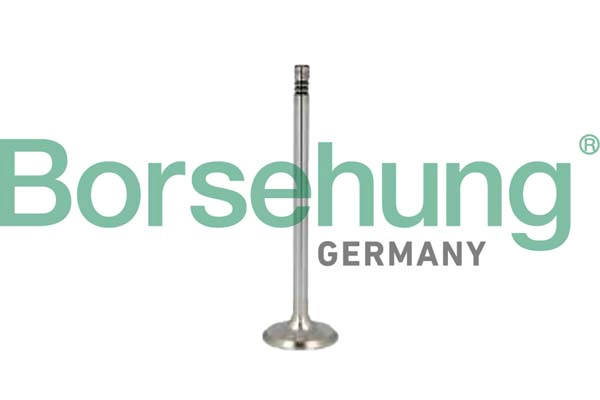 Клапан грм BORSEHUNG B10350