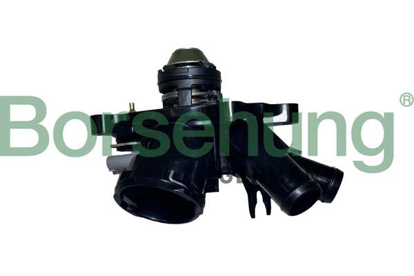 Термостат BORSEHUNG B10557