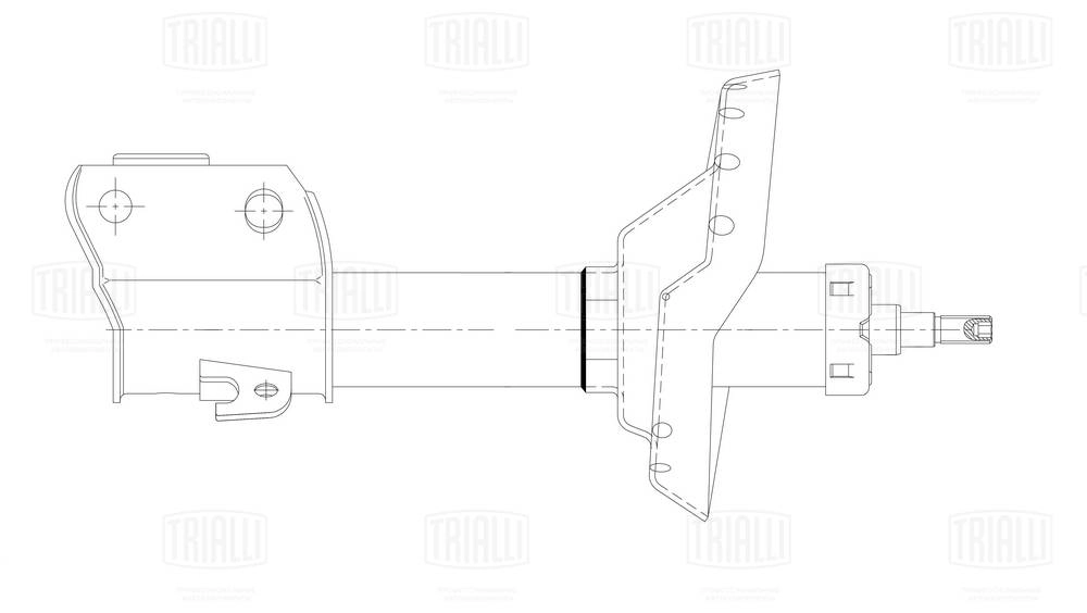 Амортизатор подвески TRIALLI AG22160