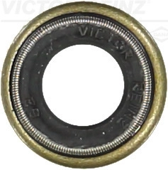 Уплотнительное кольцо стержень клапана VICTOR REINZ 70-25824-20