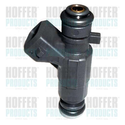 Клапанная форсунка HOFFER H75116268