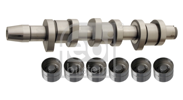 Комплект распредвала FEBI BILSTEIN 33017