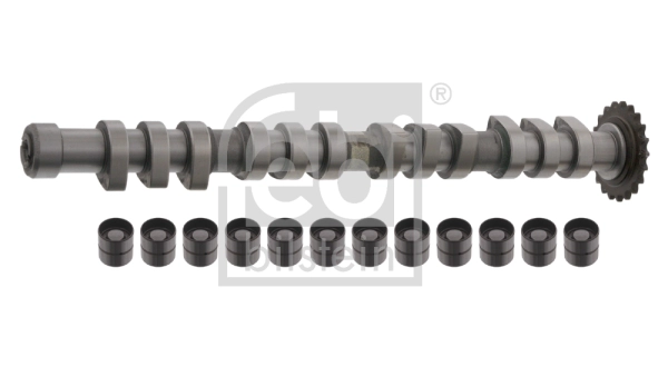 Комплект распредвала FEBI BILSTEIN 33198