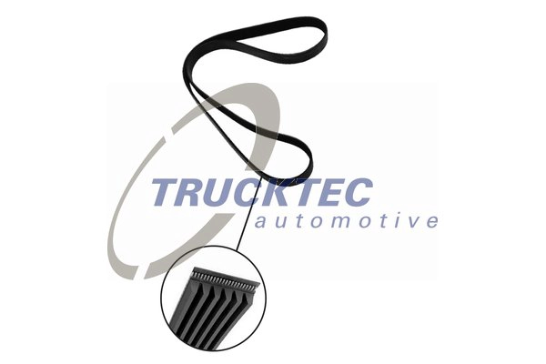Поликлиновой ремень TRUCKTEC AUTOMOTIVE 08.19.066