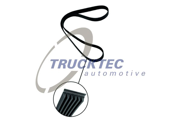 Поликлиновой ремень TRUCKTEC AUTOMOTIVE 08.19.246