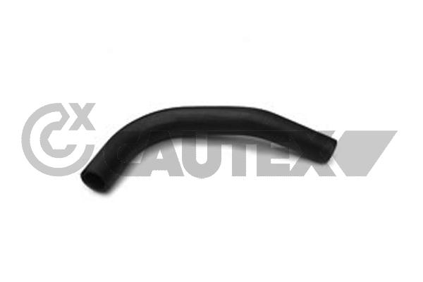Шланг радиатора CAUTEX 216001