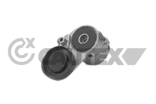 Натяжитель ремня клиновой зубча CAUTEX 460983