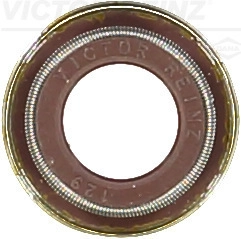 Уплотнительное кольцо стержень клапана VICTOR REINZ 70-38487-00