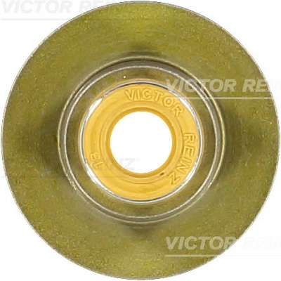 Уплотнительное кольцо стержень клапана VICTOR REINZ 70-40336-00