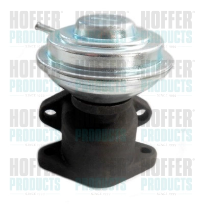 Клапан возврата ог HOFFER 7518025