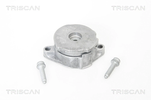 Натяжитель ремня клиновой зубча TRISCAN 8641 293012