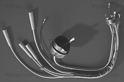 Комплект проводов зажигания TRISCAN 8860 6203