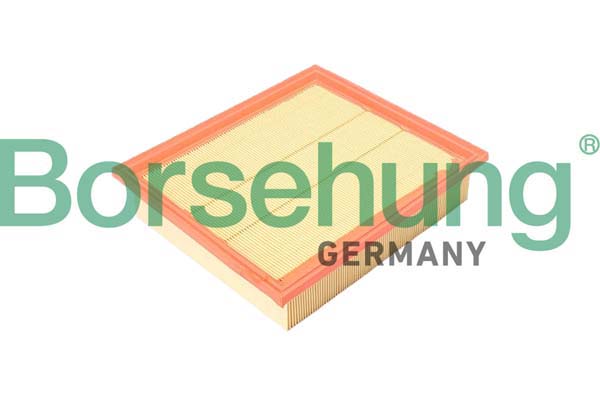 Воздушный фильтр BORSEHUNG B12365