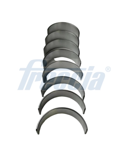 Комплект вкладышей FRECCIA CR19-100500