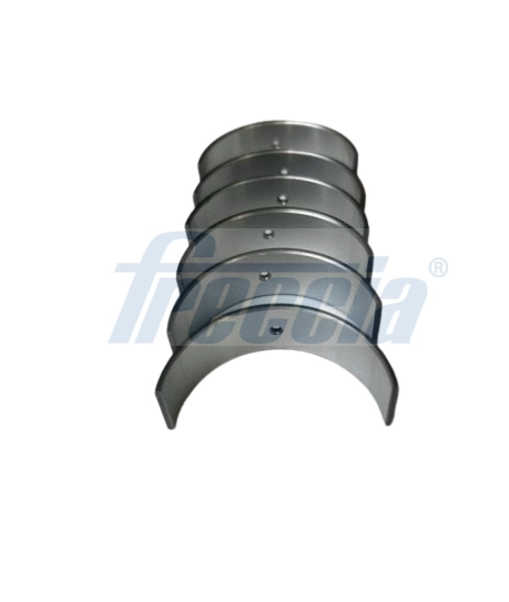 Комплект вкладышей FRECCIA CR19-102500