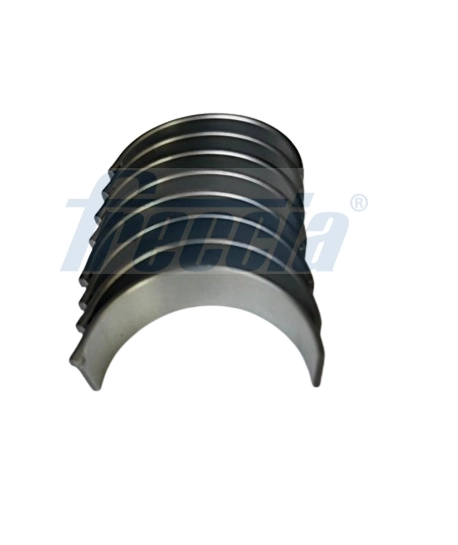 Комплект вкладышей FRECCIA CR19-103000