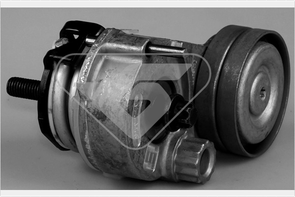 Натяжной ролик поликлиновой ремень HUTCHINSON T0356