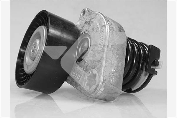 Натяжной ролик поликлиновой ремень HUTCHINSON T0606