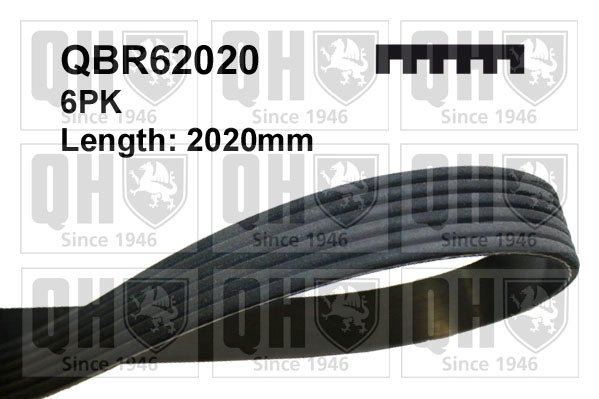 Поликлиновой ремень QUINTON HAZELL QBR62020