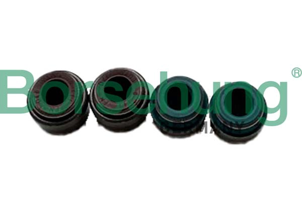 Уплотнительное кольцо стержень клапана BORSEHUNG B12534