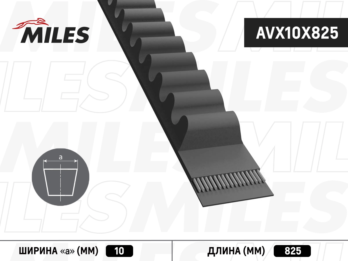 Клиновой ремень MILES AVX10X825