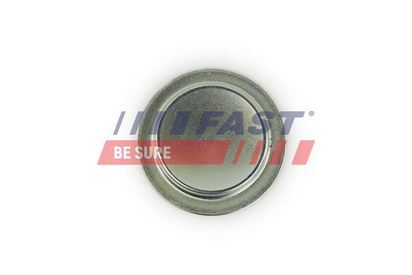 Пробка антифриза FAST FT49308