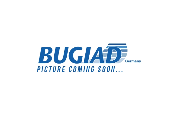 Управляющий дозатор компрессор BUGIAD BTP40008