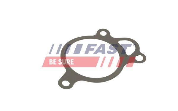 Прокладка клапан возврата ог FAST FT50619