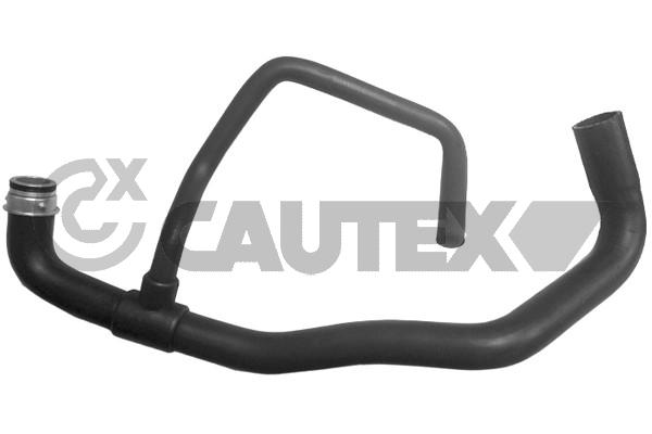 Шланг радиатора CAUTEX 031063