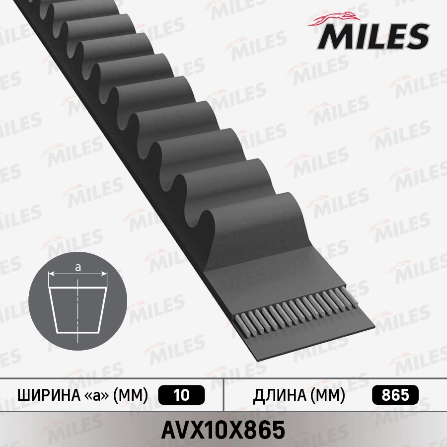 Клиновой ремень MILES AVX10X865