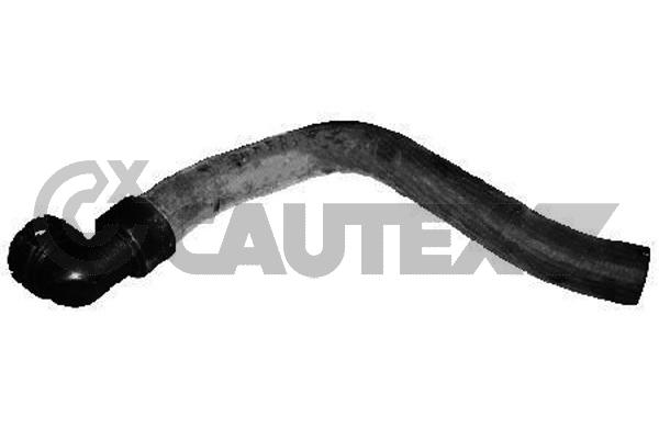 Шланг радиатора CAUTEX 753584