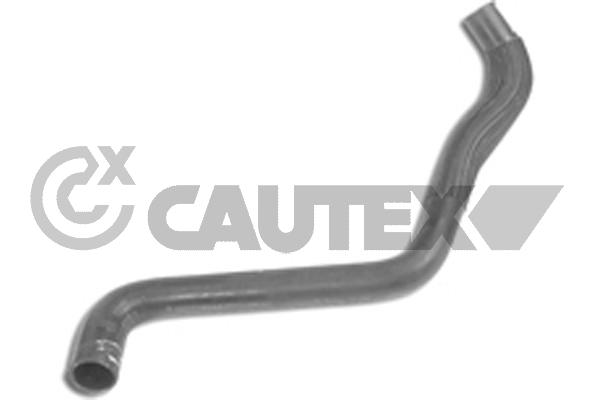 Шланг радиатора CAUTEX 031350