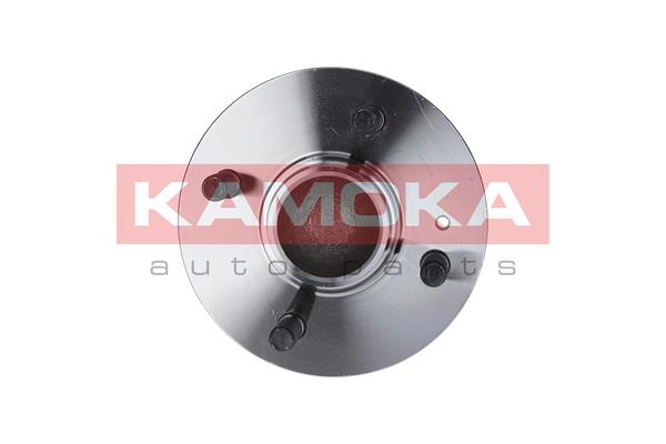 Комплект подшипника ступицы колеса KAMOKA 5500125