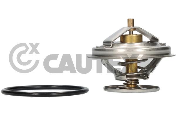 Термостат охлаждающая жидкость CAUTEX 756884