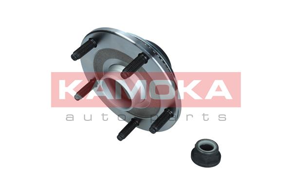 Комплект подшипника ступицы колеса KAMOKA 5500253