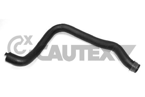 Шланг радиатора CAUTEX 031294